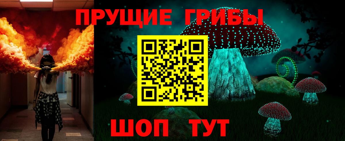 Кингисепп  Галлюциногенные грибы Psilocybine cubensis  Вход с VPN  Галлюциногенные грибы мицелий 