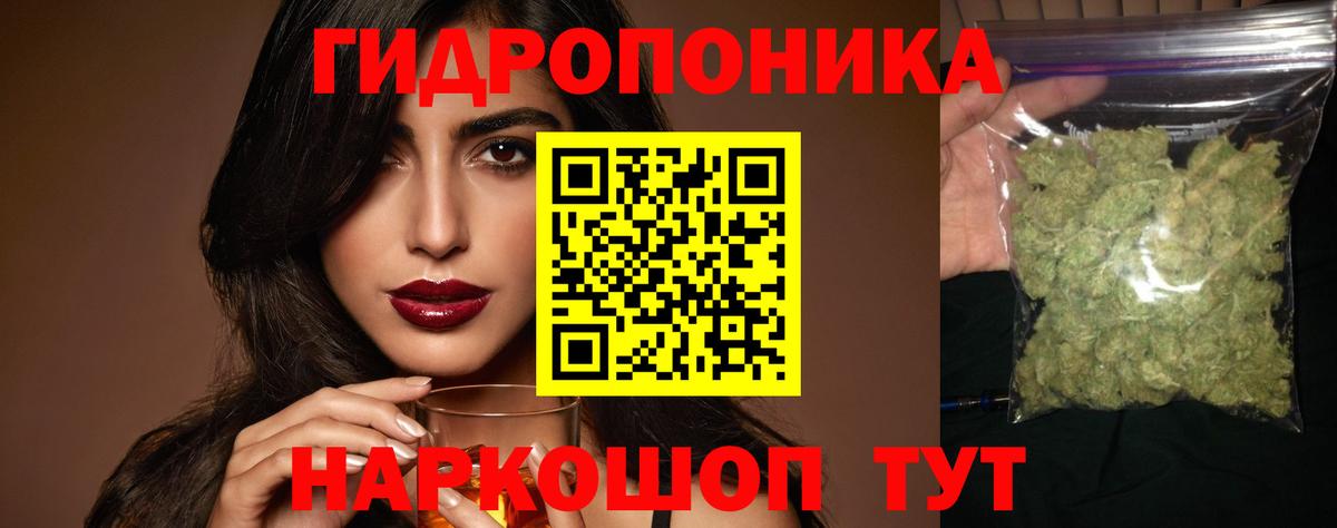 Кингисепп  Бошки Шишки MAZAR  Вход с VPN  Конопля VHQ 